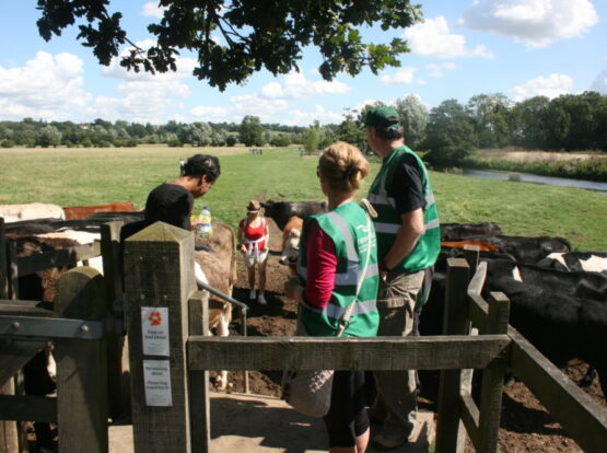 Constable Country Rangers helping visitors at Dedham