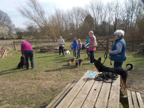 Group of people on dog walk