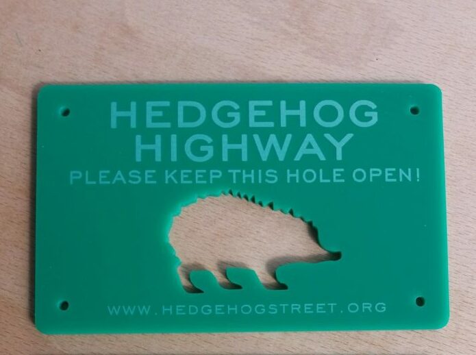 hedgehogs-dedham-vale-national-landscape