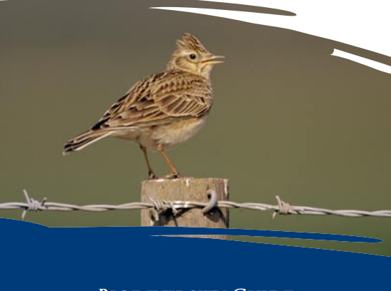 An image showing the front cover of the Biodiversity Guide, with a bird on a post