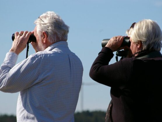 People looking through binoculars